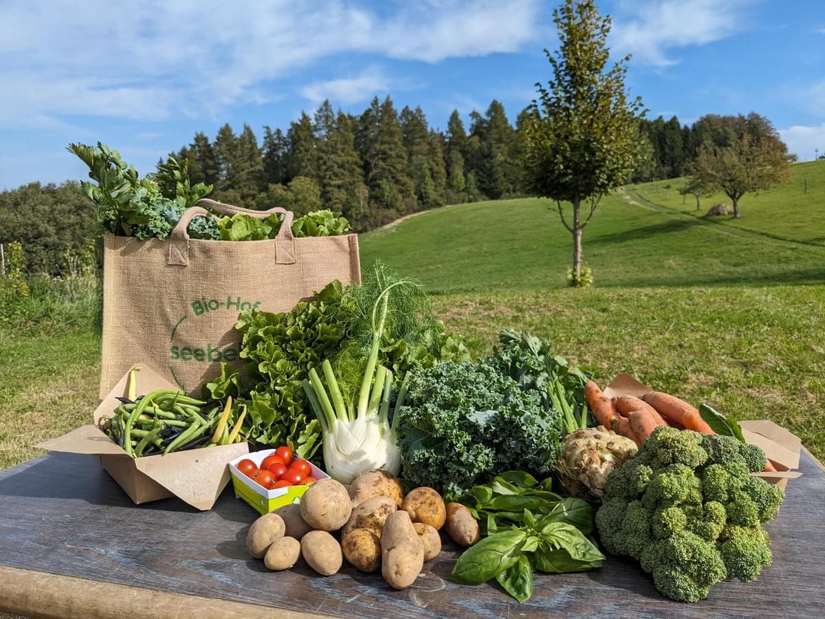 Ernteanteil der Solawi Seebeli: eine MAXI-Gemüsetasche für Familien oder WGs.