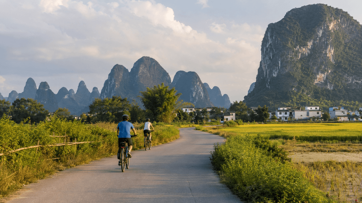 Travelers cycling through rice fields and karst countryside near Yangshuo, China