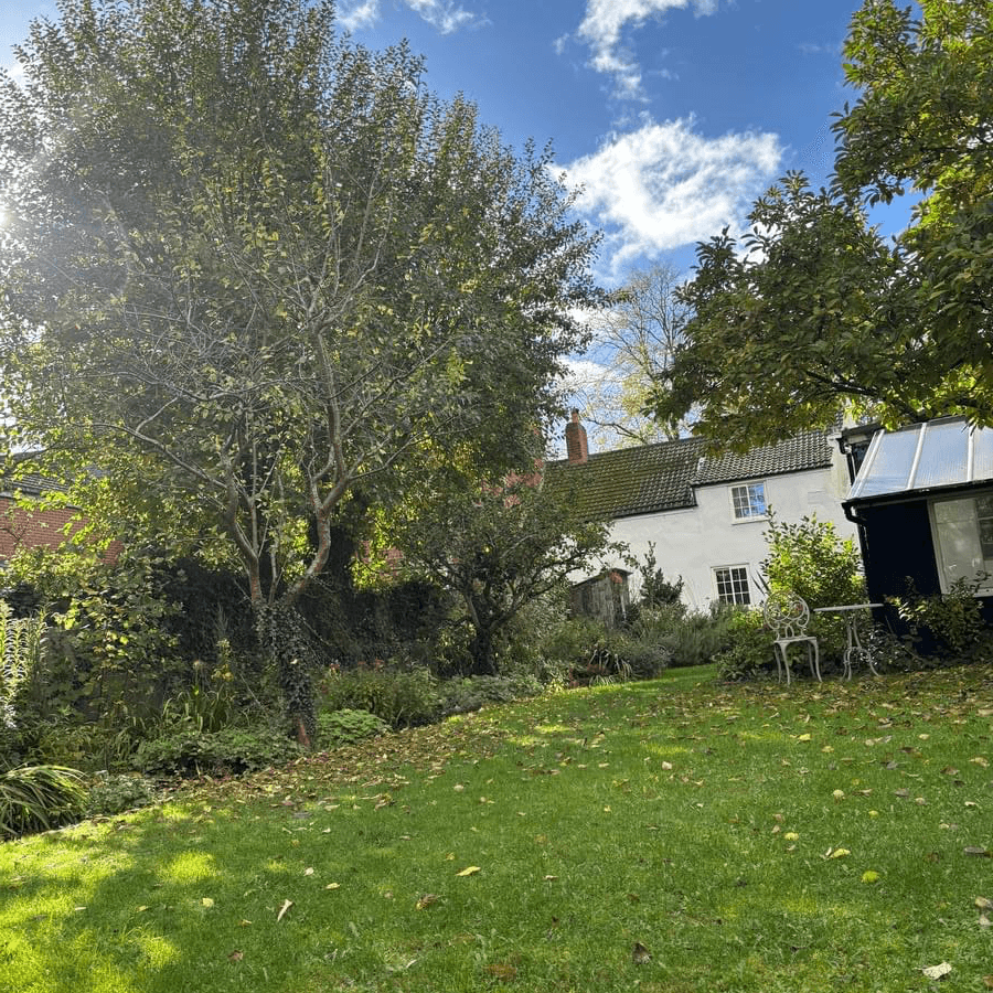 Section image