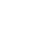 Line Icon