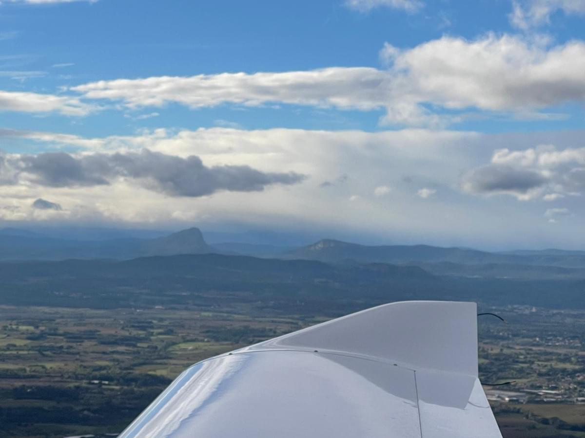 Section image