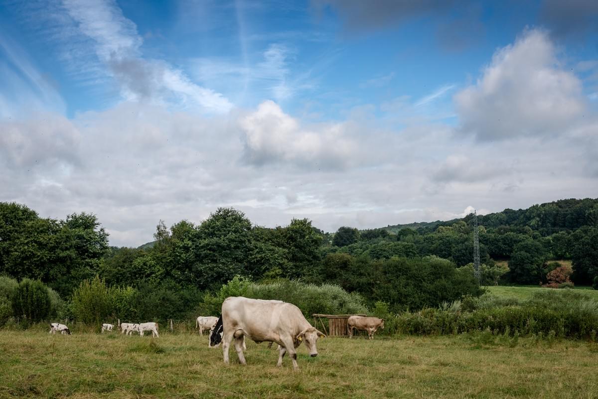 Tom Schleicher / http://www.schleicherfoto.de/
