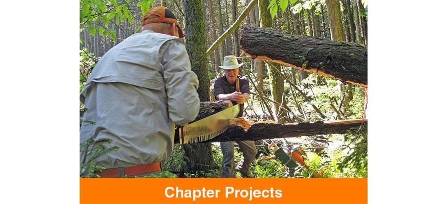 Chapter Projects - Two men sawing a tree.