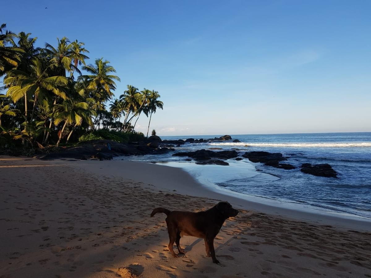 srilankareisen-lk-Sri-Lanka-ambalangoda-Tours-Holiday -ravel