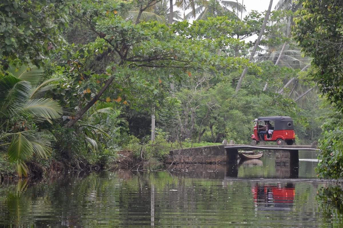 srilankareisen-lk-tea-factory-hermans-tea-srilanka