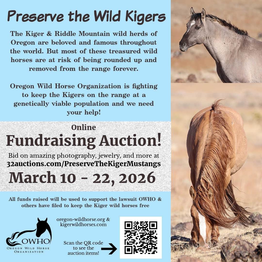 Join our mission to protect these incredible animals and their ecosystem Support the Preservation of Kiger Wild Horses Preservation and protection of the kiger wild horses, their habitat and their genetic viability within the Kiger and Riddle Mountain Horse Management Areas in Oregon.
