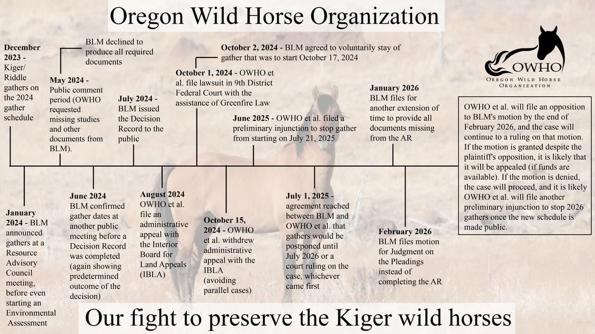 Support the Preservation of Kiger Wild Horses Preservation and protection of the kiger wild horses, their habitat and their genetic viability within the Kiger and Riddle Mountain Horse Management Areas in Oregon.