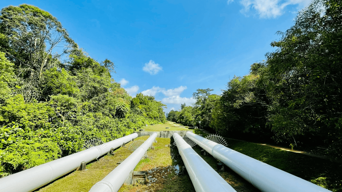 Pipeline Wrapping and Coating inspected with visual checks and NDT methods