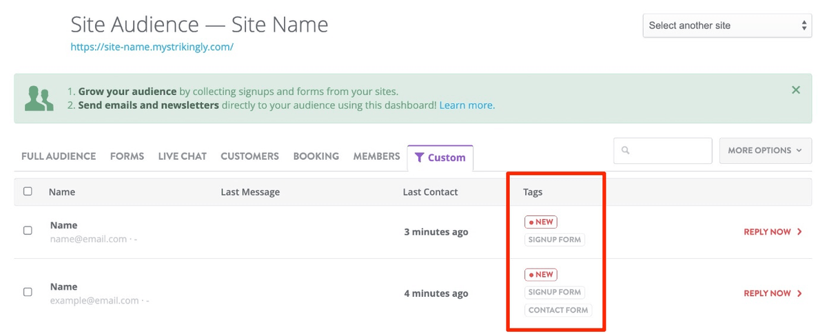 Strikingly audience dashboard labels distinguishing signup and contact form responses