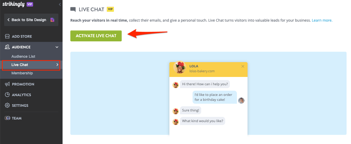 Strikingly Live Chat activation screen with a sample customer conversation