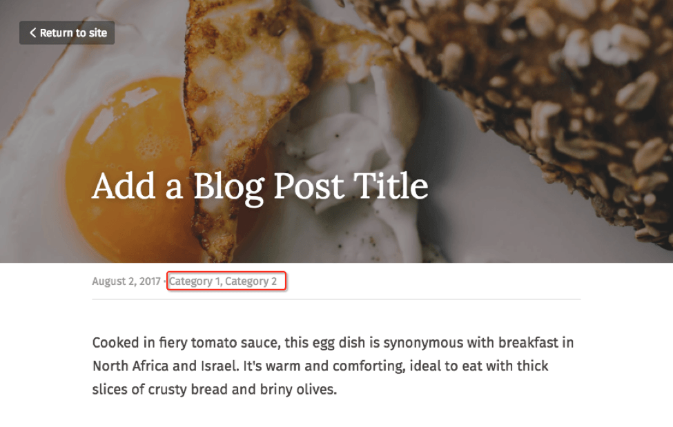 Strikingly blog post displaying clickable topic categories beneath its title