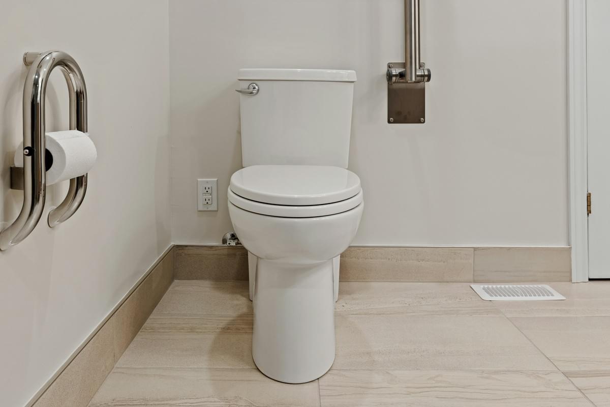 Toilet Inspection showing cracks and stains needing attention