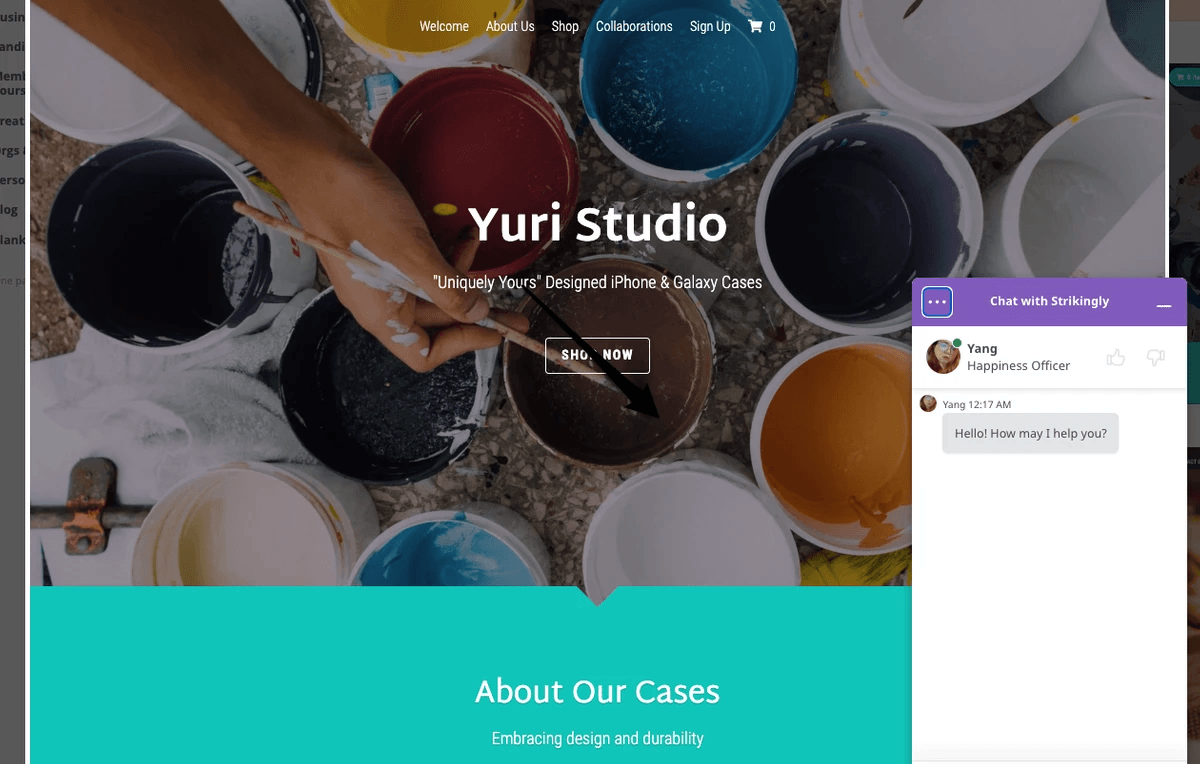 customer support portal interface showcasing key features
