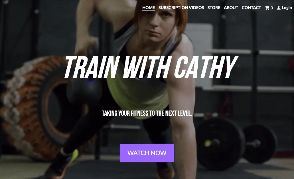 Instructor introduction video on online course website