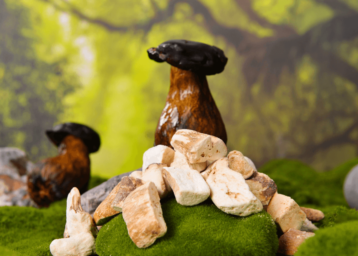 Delicious meals made with freeze dried veggies