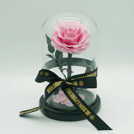 Beautiful arrangement showcasing preserved flower roses.