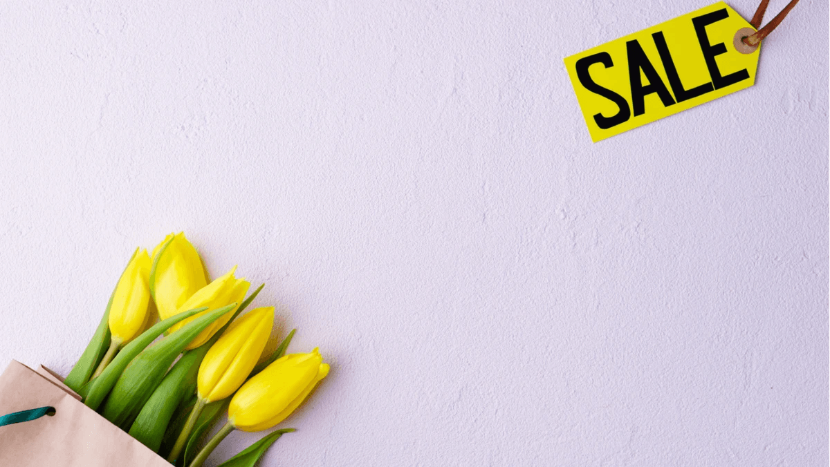 Engaging visuals for a customer seasonal campaign