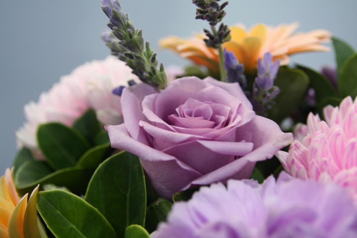 Stunning september birth flower australia arrangement featuring colorful blooms