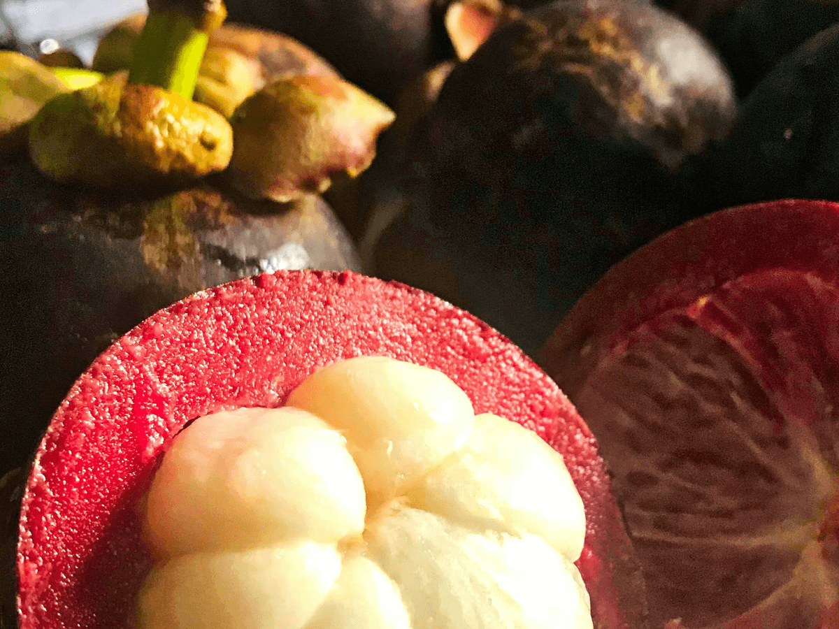 Delicious freeze dried mangosteen showcasing its vibrant color and texture.