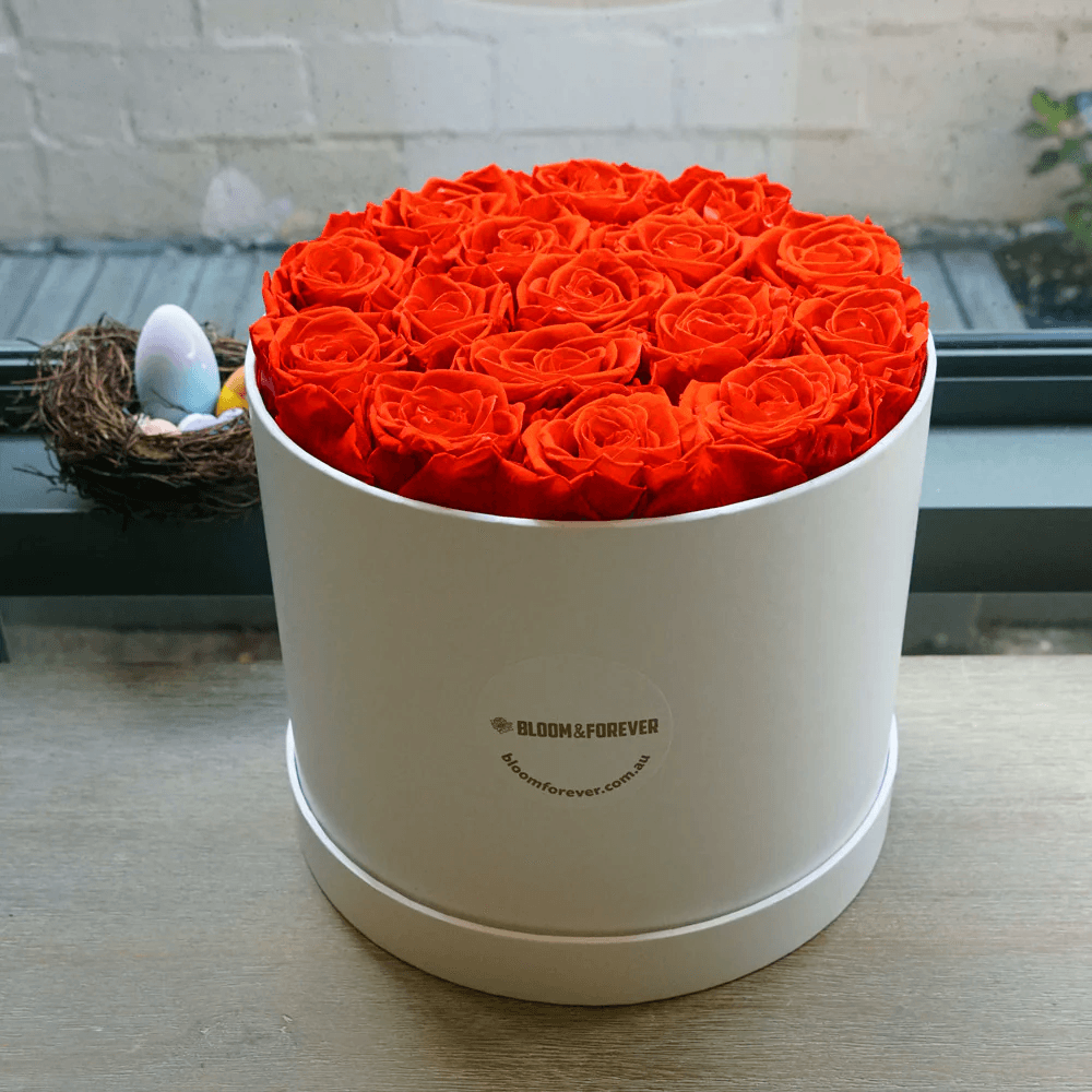 Beautiful collection of forever roses nz showcased elegantly