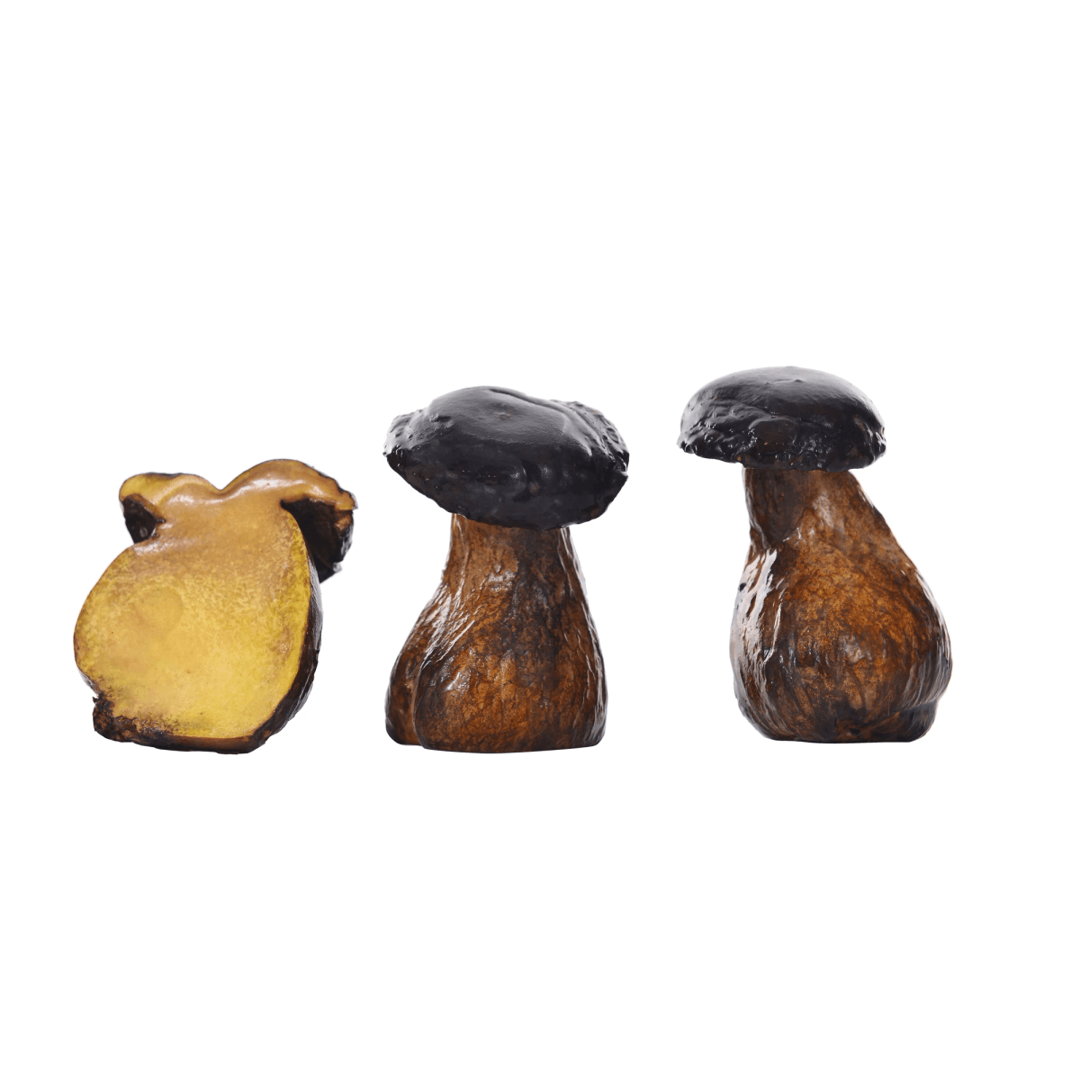 freeze dried porcini mushroom products ready for purchase online