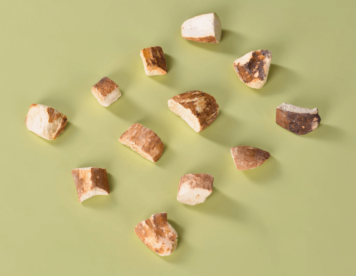 Delicious freeze dried porcini mushroom ready for culinary use