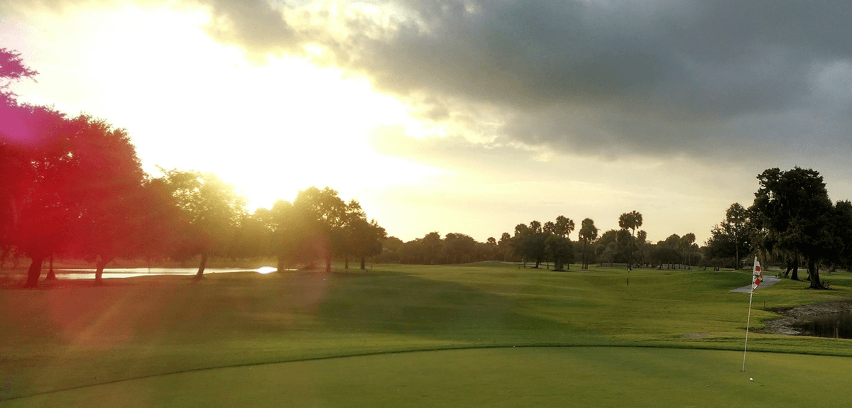 best tint for golf sunglasses enhances performance