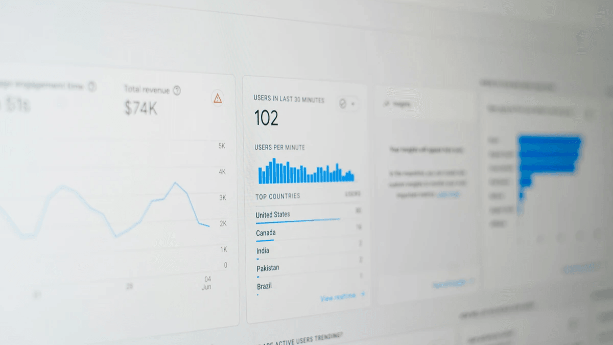 Analytics screen used to review whether website visitors match business goals