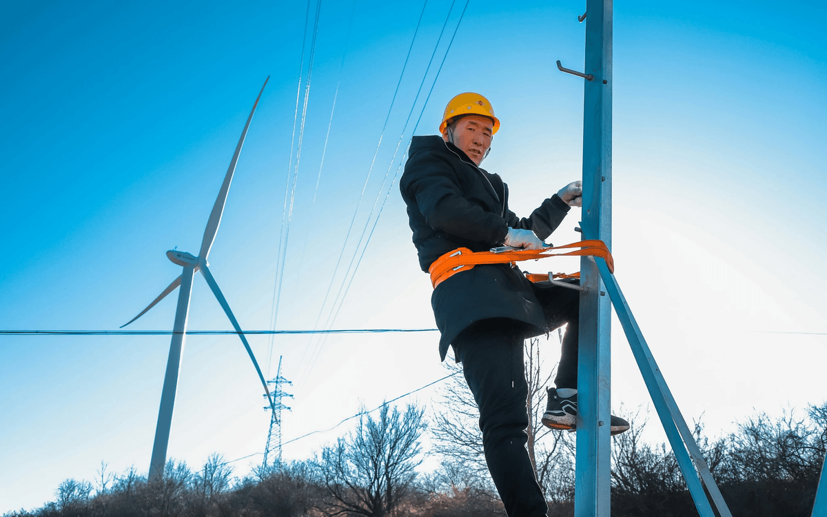 Third Party Inspection for Generator ensures high-quality electrical components.