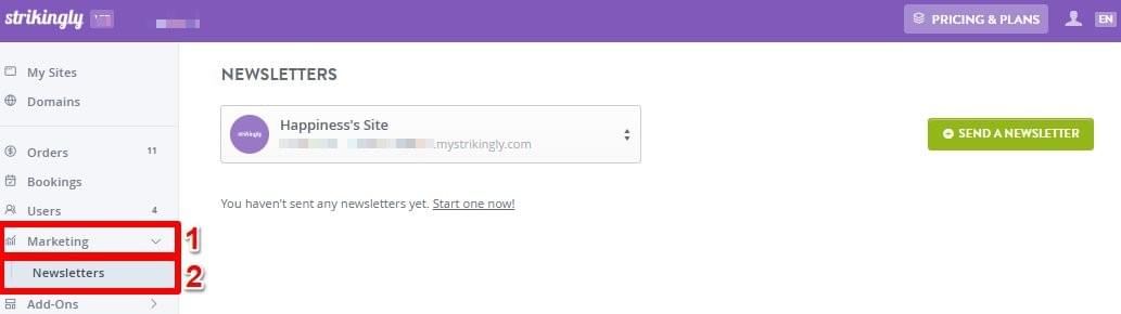 Strikingly newsletter dashboard for sending campaign updates to subscribers