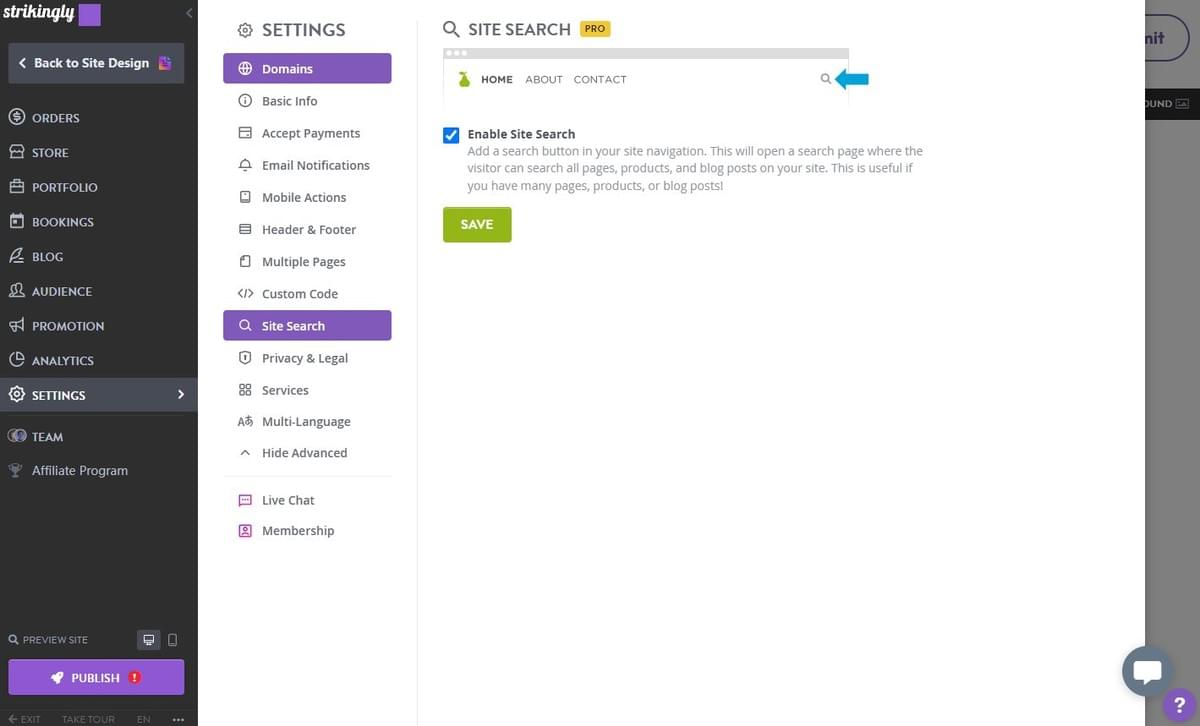 Strikingly settings panel with Site Search enabled for pages, products, and blog posts