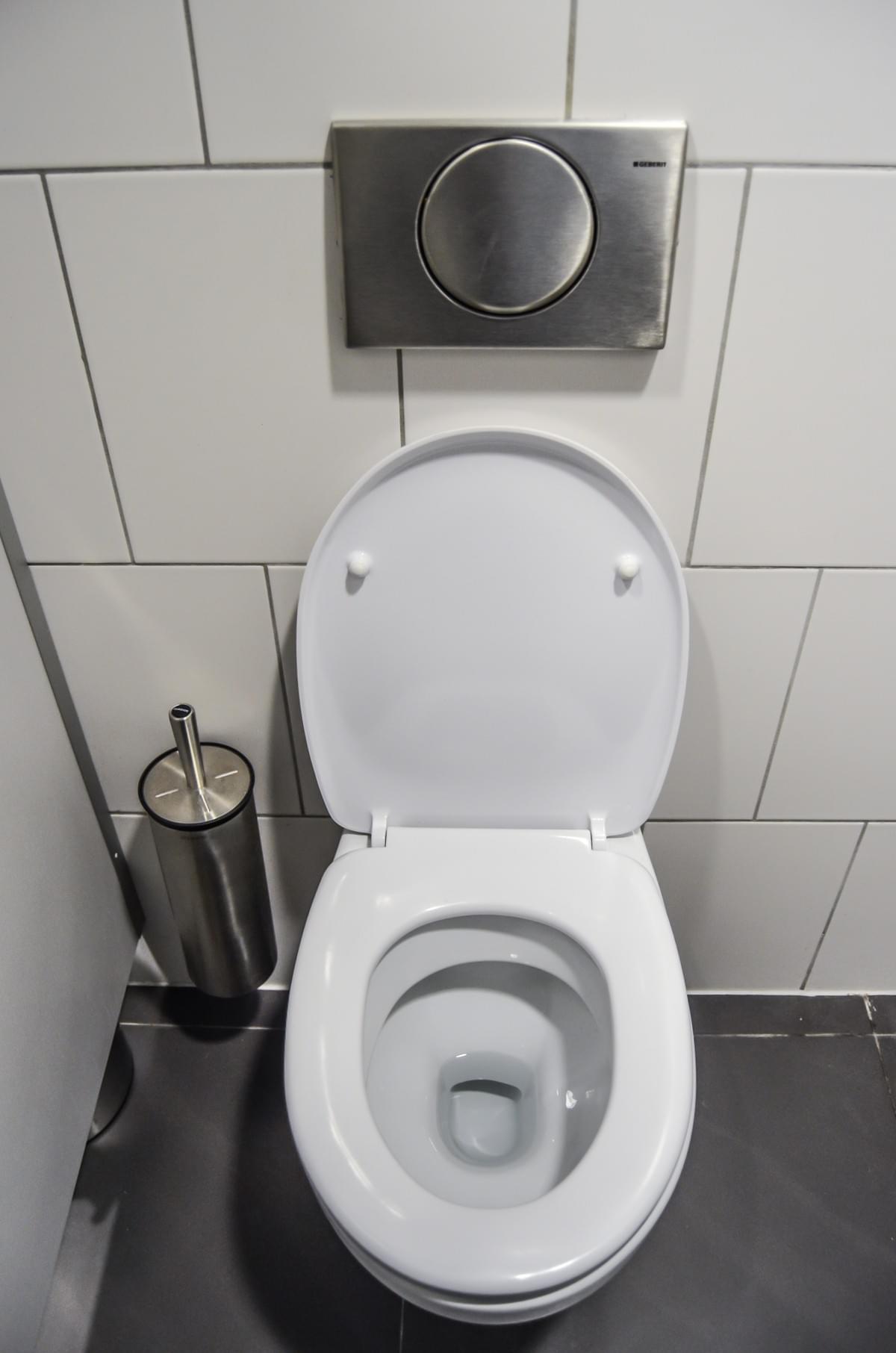 Toilet Inspection overview highlighting different household toilet types