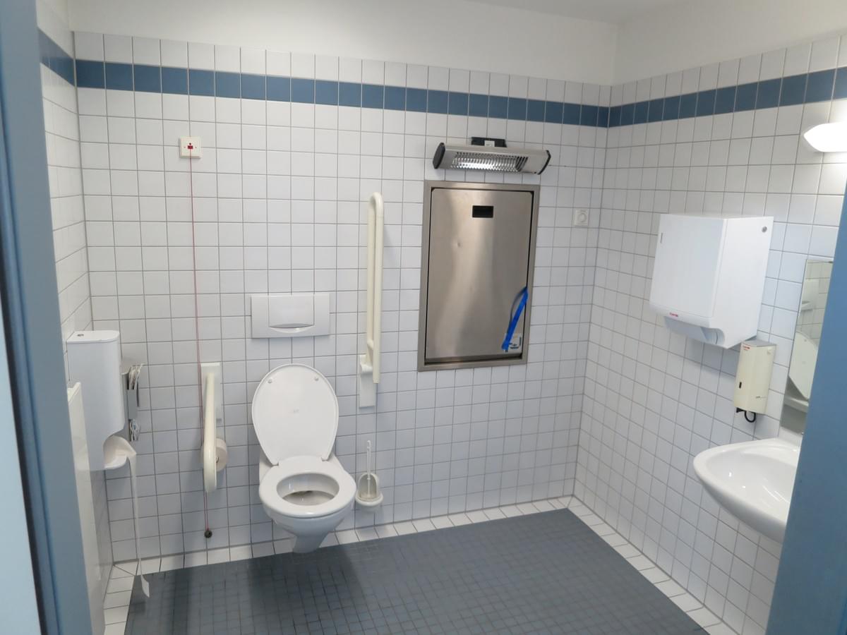 Toilet Inspection focusing on material quality assessment