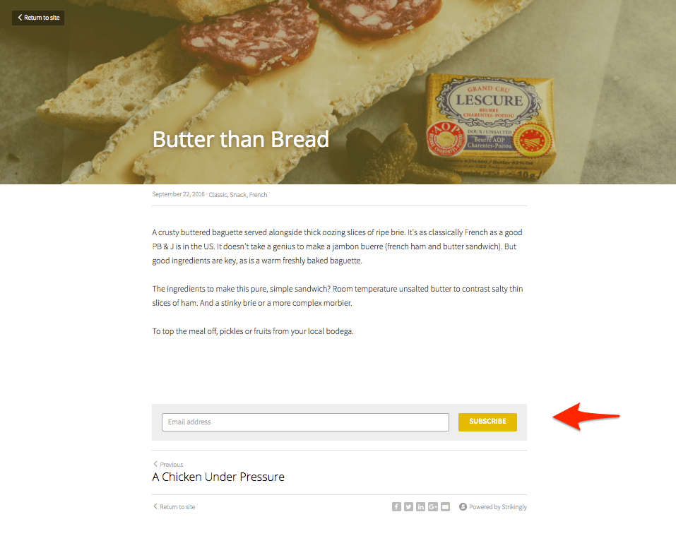 A Strikingly blog subscription field offering readers a clear follow-up option