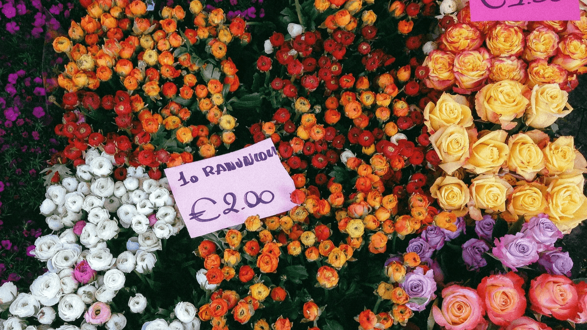 high-converting pricing section with popular plans and toggle options