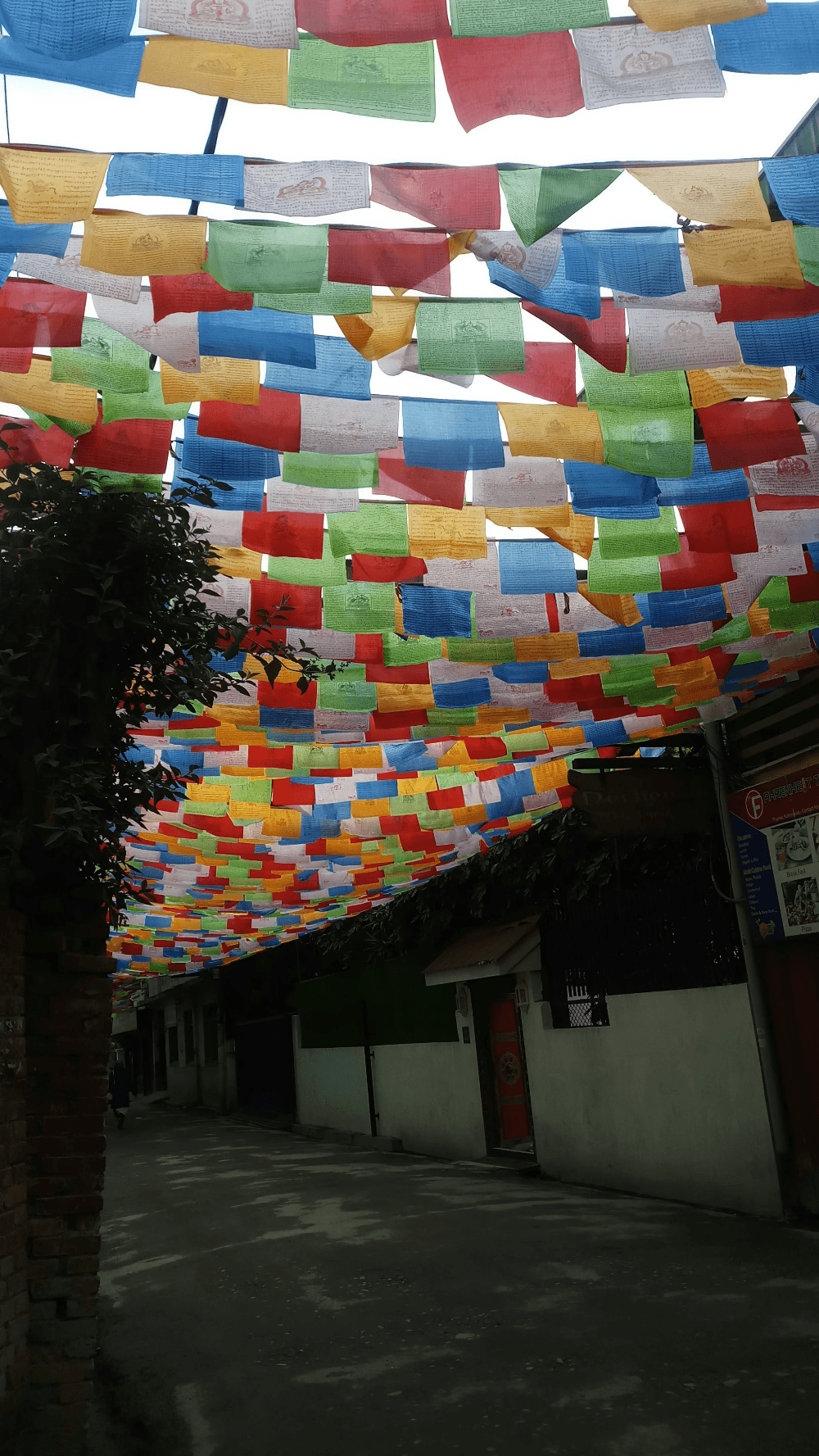 Experience holiday tibet during vibrant Losar festival.