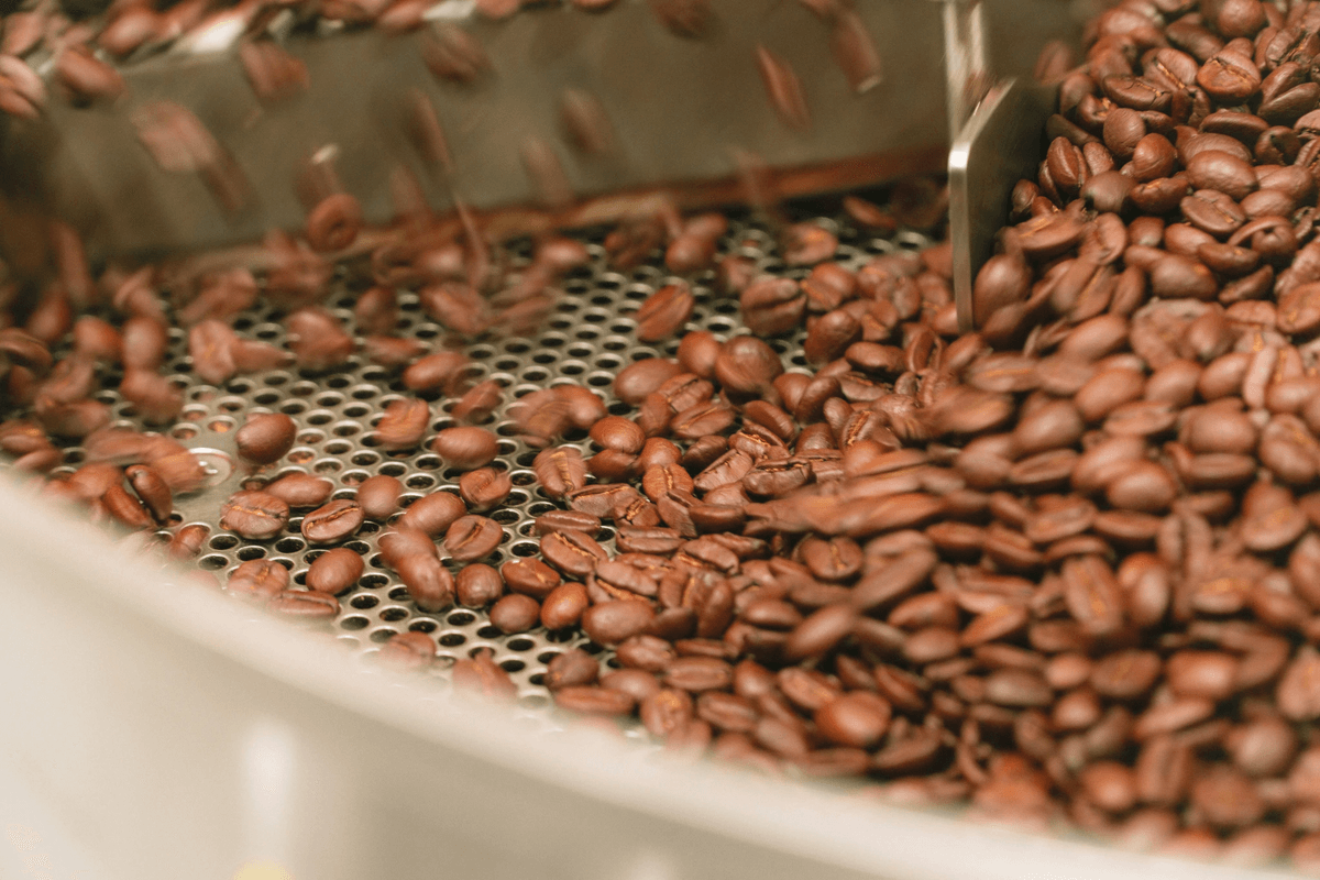 freeze dried coffee powder production process