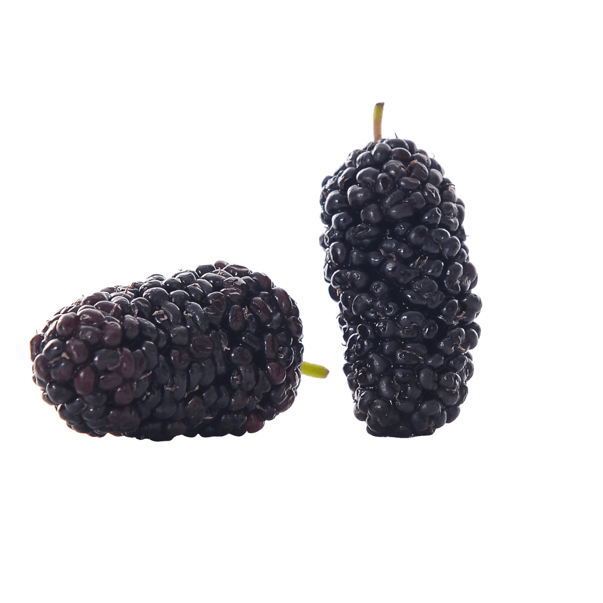 freshly prepared dishes featuring nutritious freeze dried mulberries