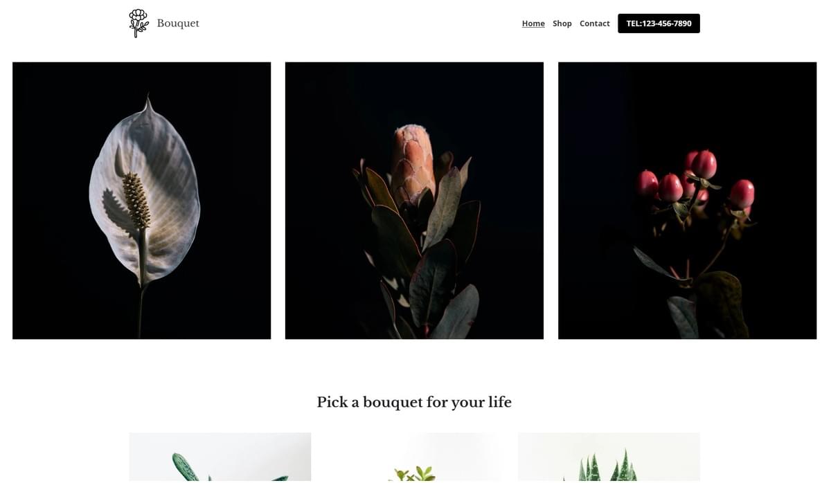 digital brand experience showcasing cohesive interactions across platforms