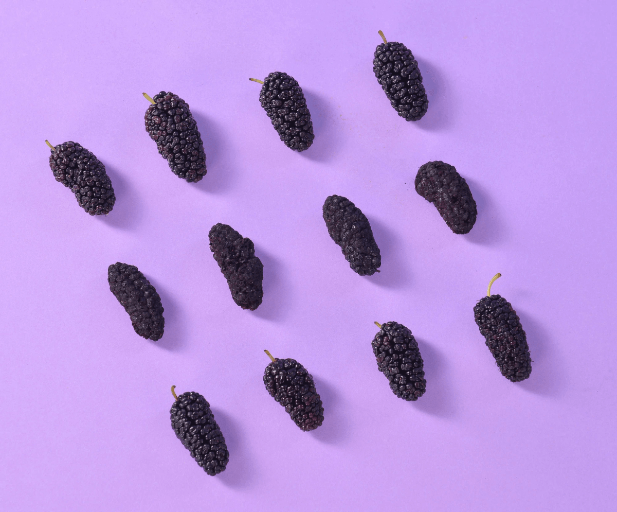 freeze dried mulberries among assorted deliciously packaged fruits