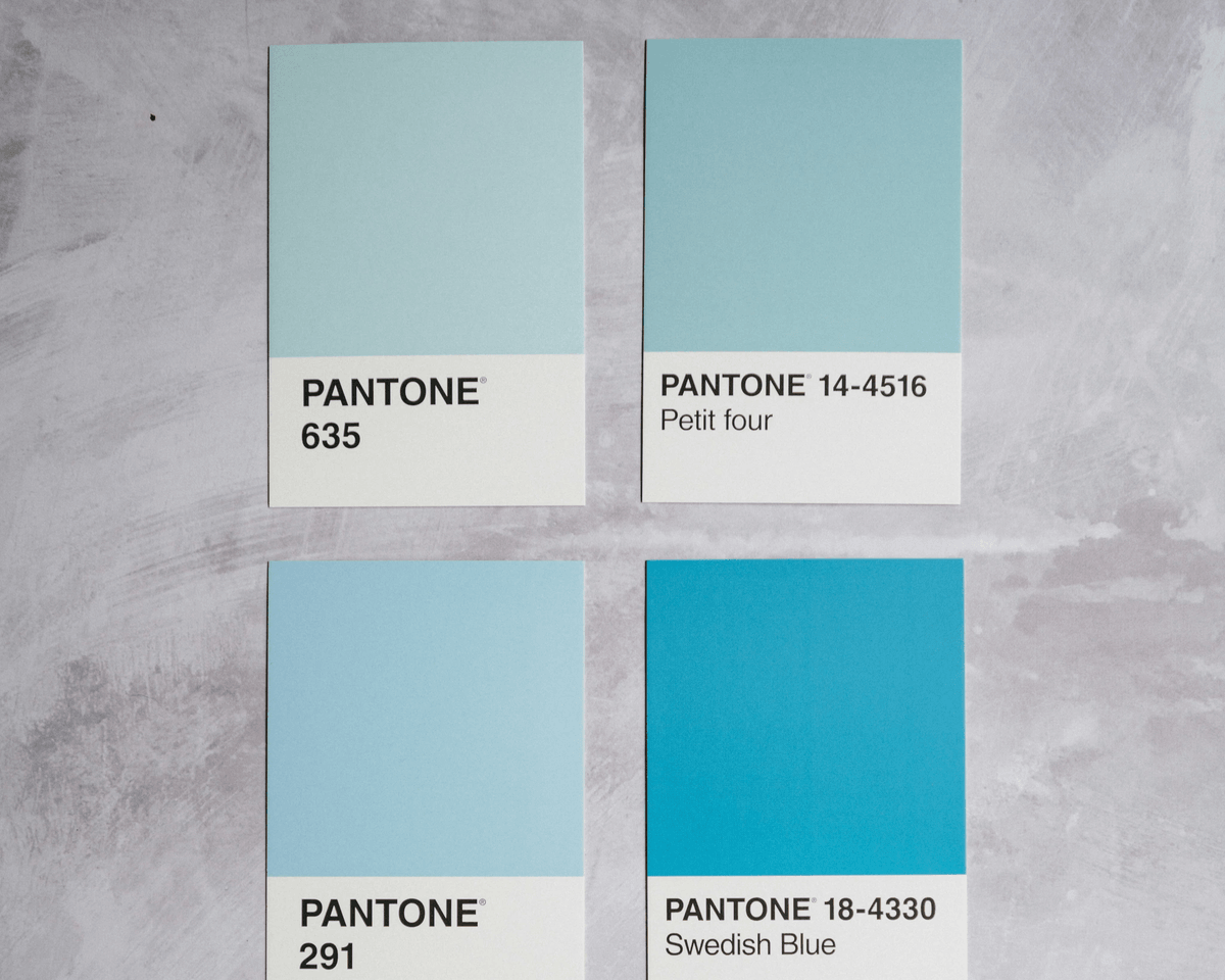 minimalist website design showcasing cohesive color palette
