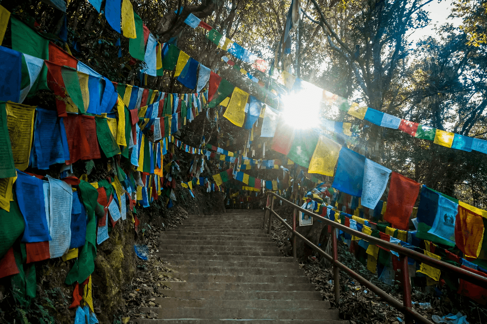Experience holiday tibet during the vibrant Saga Dawa festival