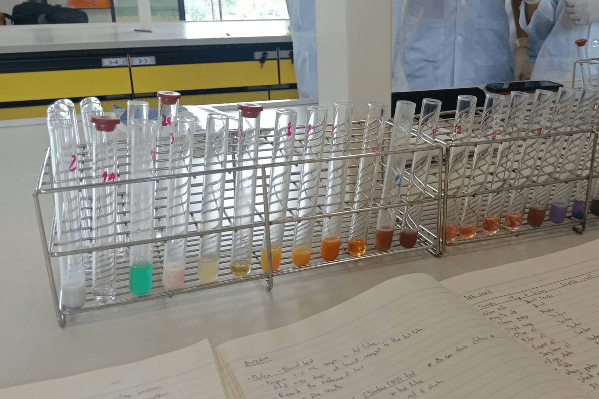 Reference Sample used by scientists for accurate analysis
