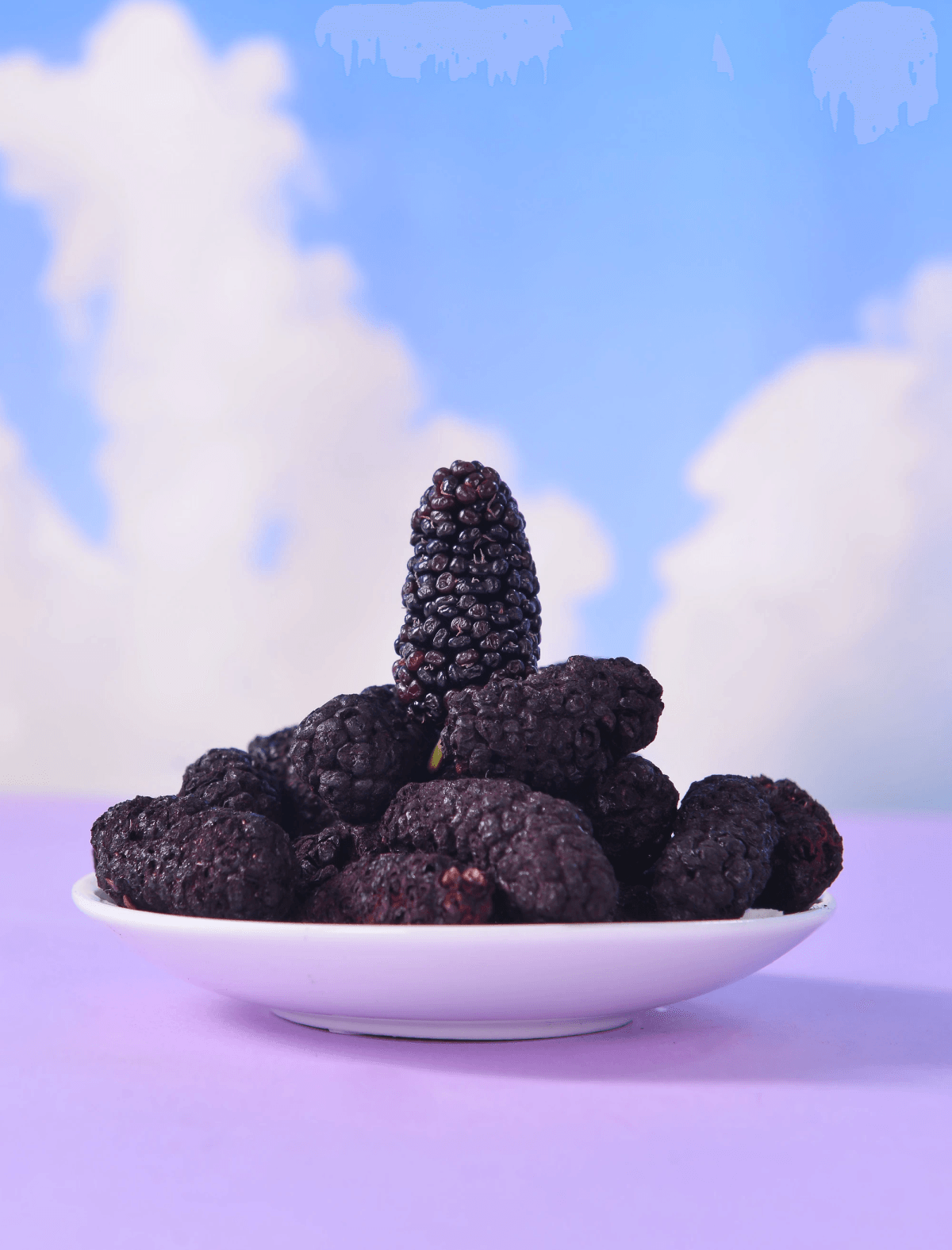 Colorful display of freeze dried mulberries among other fruits