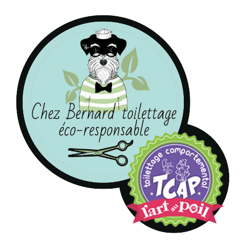 Cliquez ici pour savoir ce qu'est le TCAP