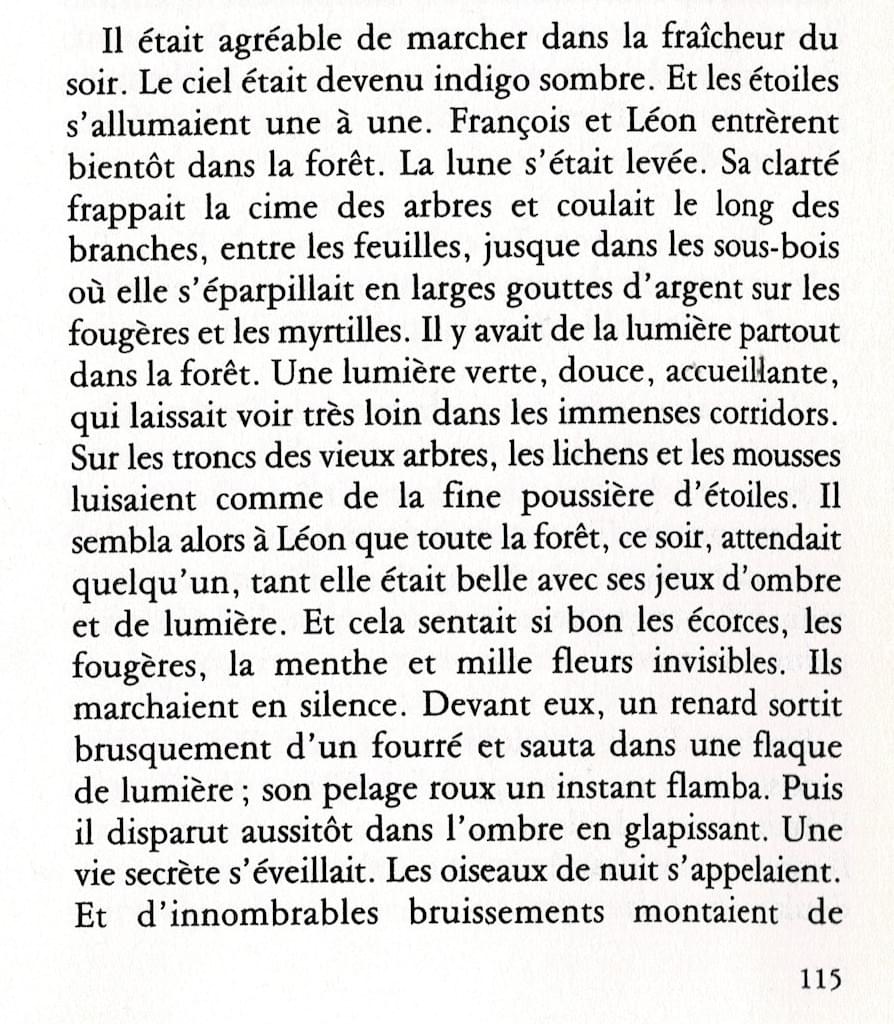 MEDITATION POUR LA TERRE  -  7 décembre (19h) à N-D de l'Assomption des Buttes Chaumont (Paris)