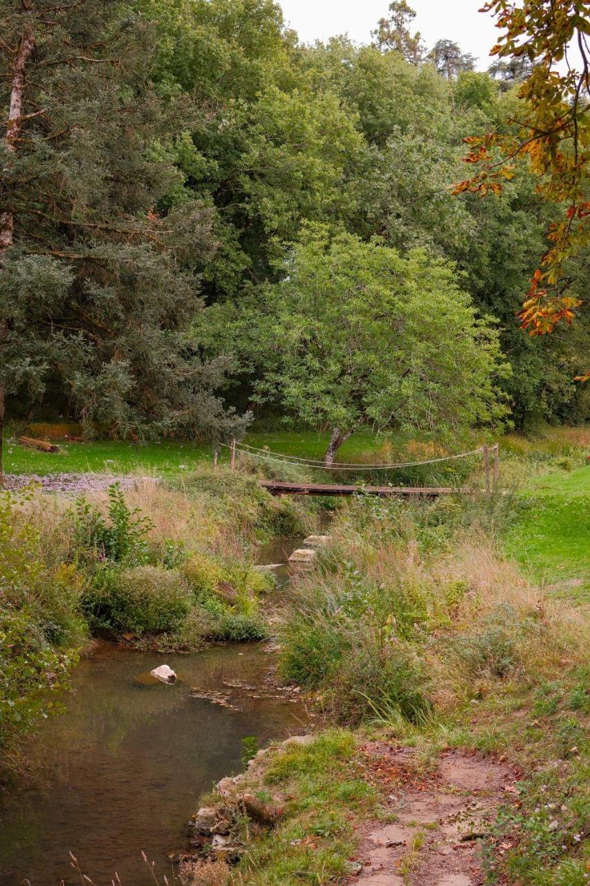 Section image