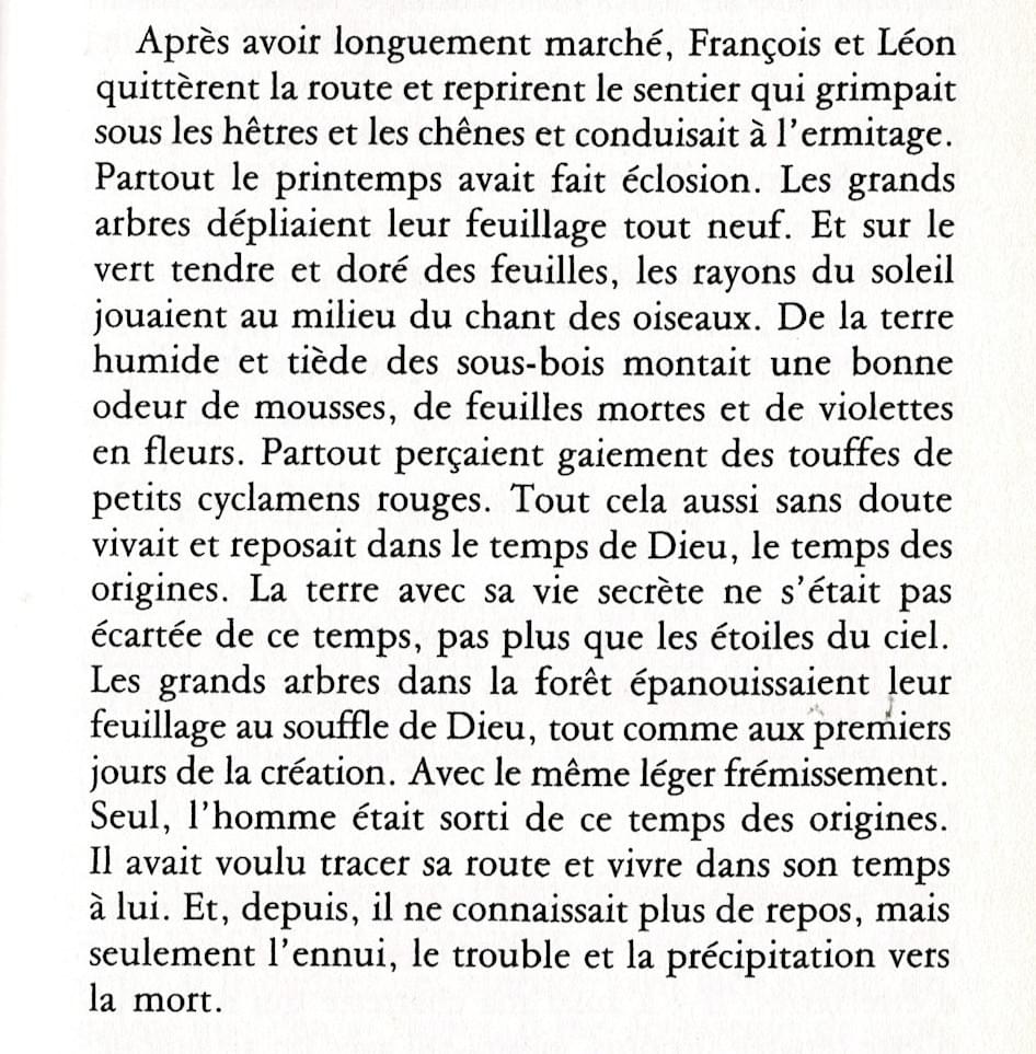 MEDITATION POUR LA TERRE  - Dimanche 2 novembre (19h) et chaque 1er dimanche du mois