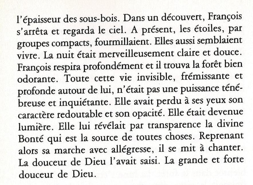 MEDITATION POUR LA TERRE  -  7 décembre (19h) à N-D de l'Assomption des Buttes Chaumont (Paris)