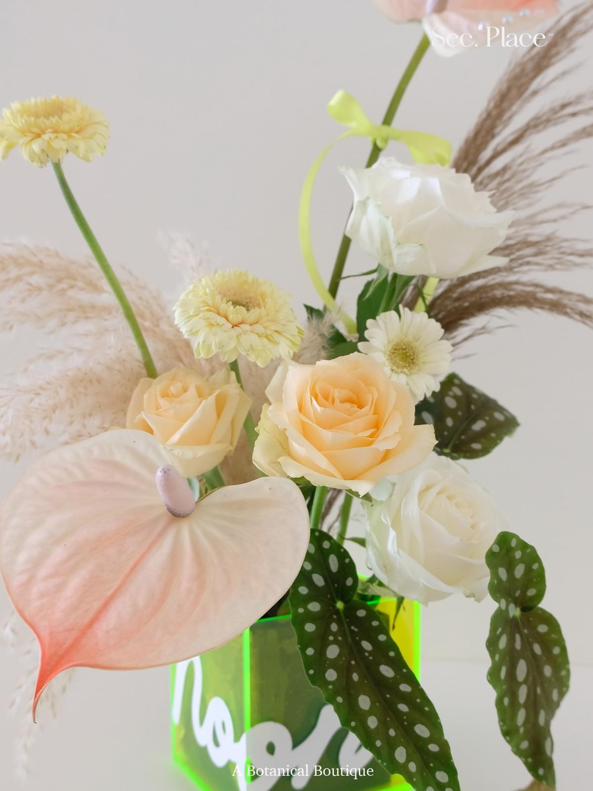 Sec. Place / Color Pop桌花